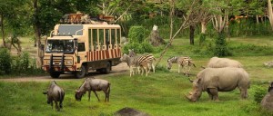 Bali Safari and Marine Park