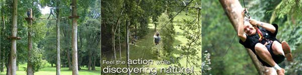 Treetop Bali