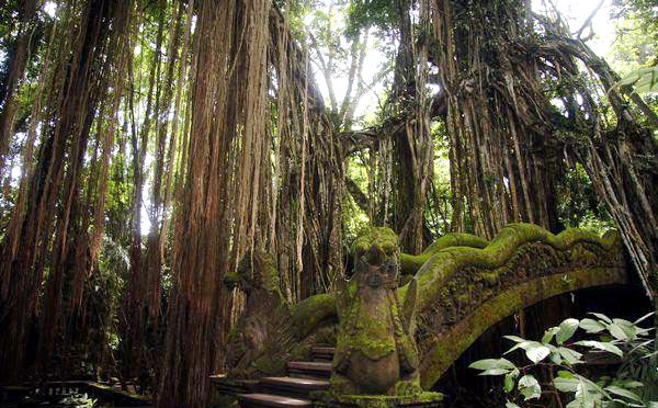 ubud monkey forest