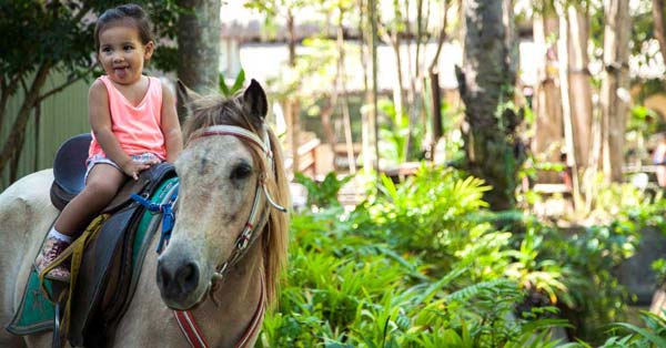 Aktivitas Menaiki Kuda Pony