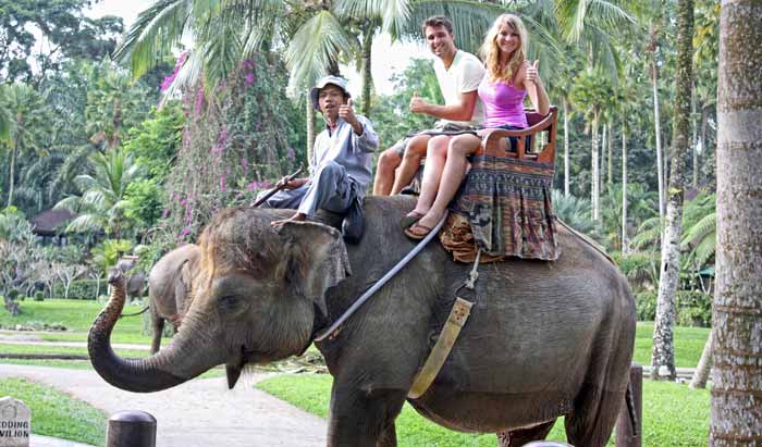 Wisata Naik Gajah Di Taro Ubud