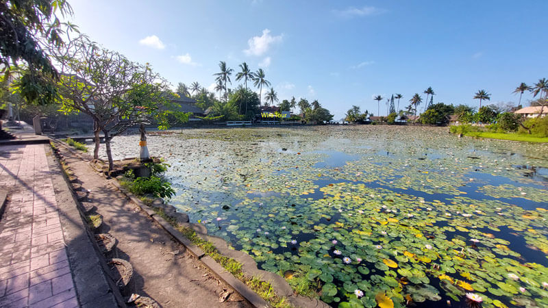 Taman Lotus Candidasa