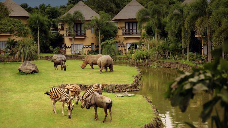 Mara River Safari Lodge