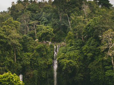 Air Terjun Sekumpul Singaraja Bali