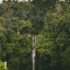 Air Terjun Sekumpul Singaraja Bali