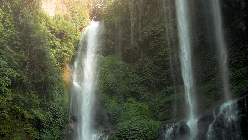 Air Terjun Sekumpul yang memesona dikelilingi hutan hijau di Bali Utara