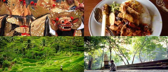 Paket Ubud Tour Setengah Hari