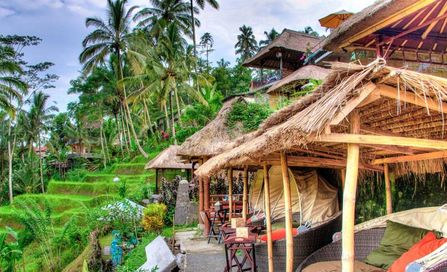 4 Tempat Menikah Di Ubud Bali Paling Keren Unik Mewah