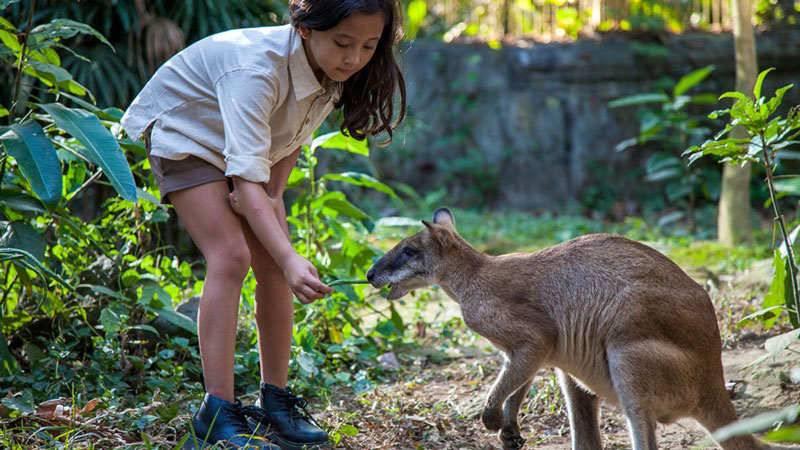 Daya Tarik Taman Rekreasi Bali Zoo