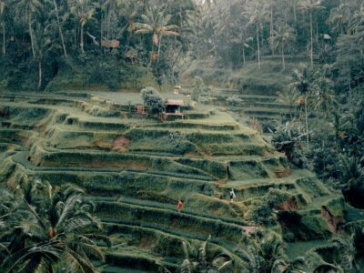 Kegiatan Wisata Di Ubud