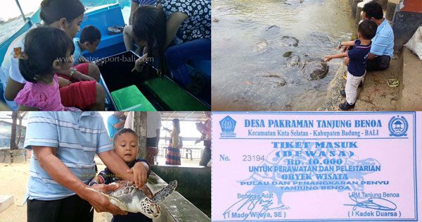 Harga Tiket Masuk Pulau Penyu Tanjung Benoa