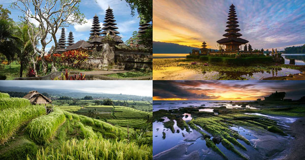 Bedugul Jatiluwih Tanah Lot Tour Paket Wisata 1 Hari Di