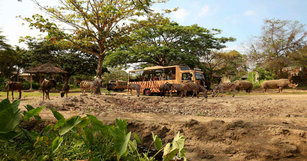 Paket Bali Safari Marine Park Tanah Lot Tour Paket