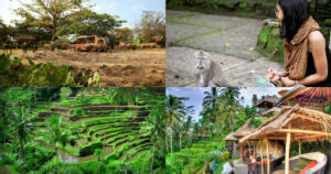 Paket Safari Marine Park Ubud Tour