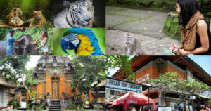 Paket Wisata Bali Zoo Ubud Tour