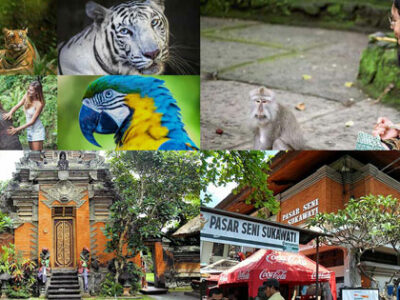 Paket Wisata Bali Zoo Ubud Tour