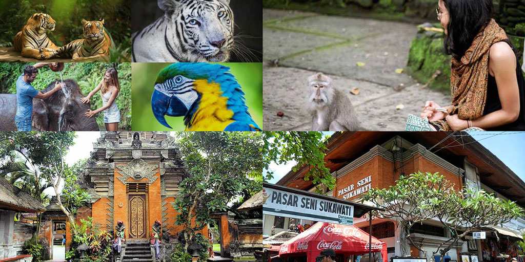 Peta Wisata Zoo - Peta Wisata Indonesia dan Luar Negeri