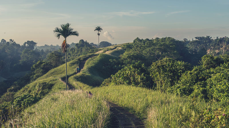 Bukit Campuhan - 10 Destinasi Honeymoon Di Ubud