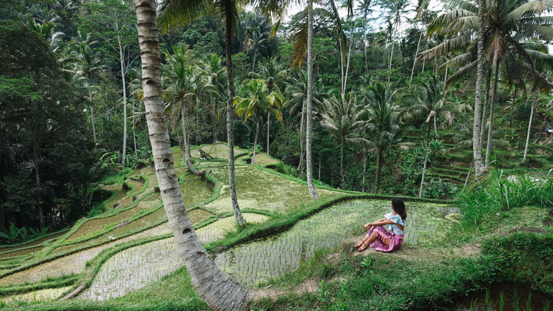 Keindahan Alam Objek Wisata Ubud Bali