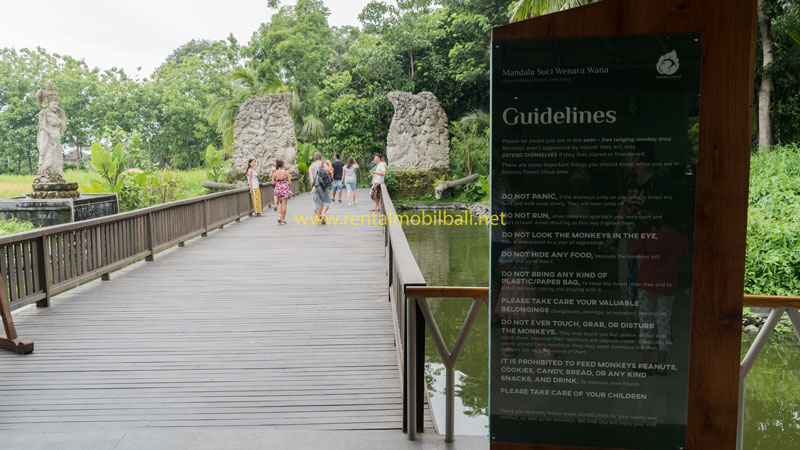 Panduan Liburan Ke Sacred Monkey Forest Sanctuary Ubud