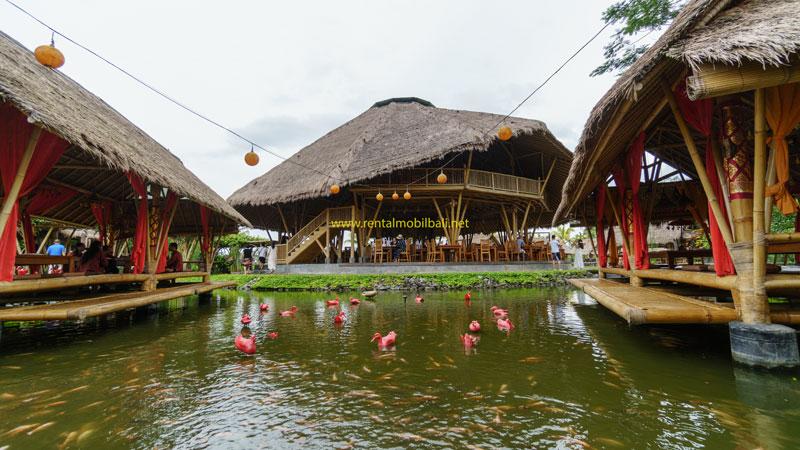 Tempat Makan Di Kawasan Wisata Ubud Bali