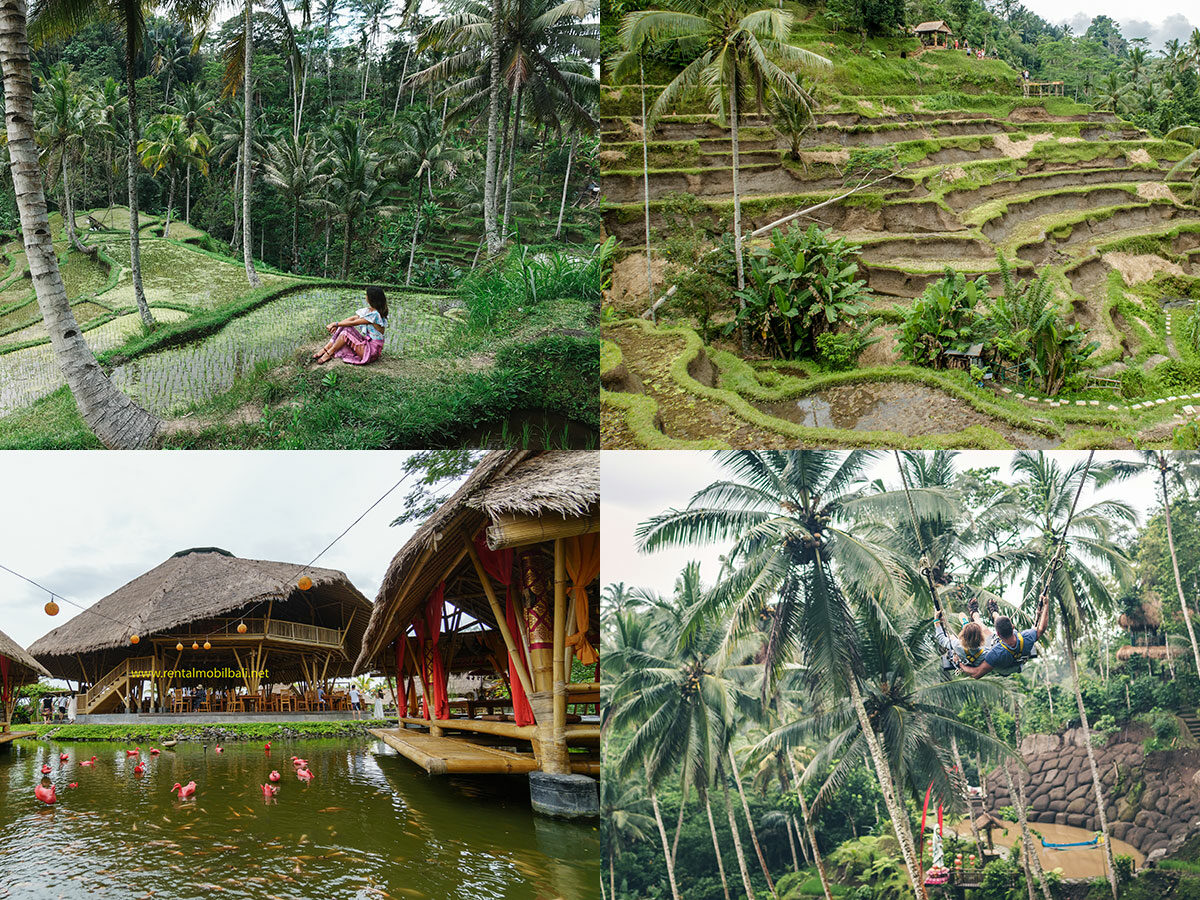 Wisata Ubud Bali Dan Sekitarnya Daya Tarik