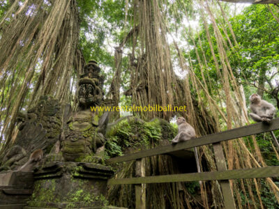 Ubud Monkey Forest Bali