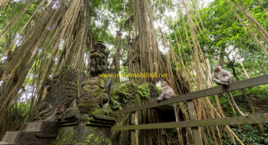 Ubud Monkey Forest Bali