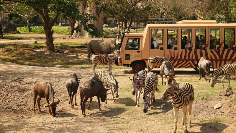 Safari Journey Bali Safari Marine Park Gianyar