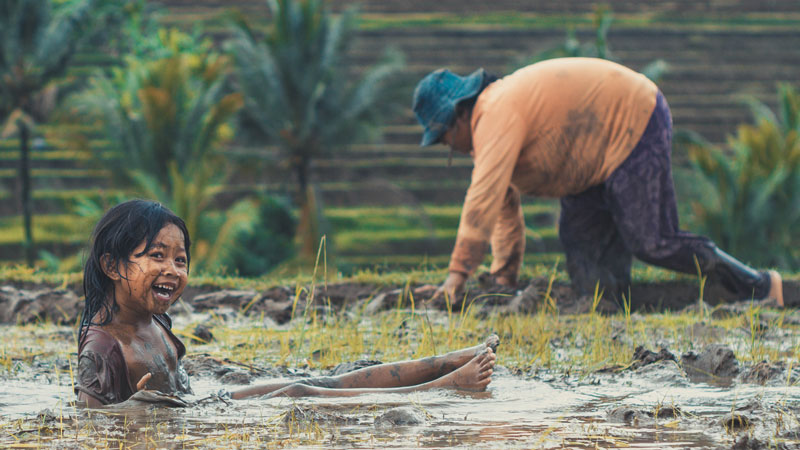 Petani Di Sawah Terasering Jatiluwih Tabanan Bali