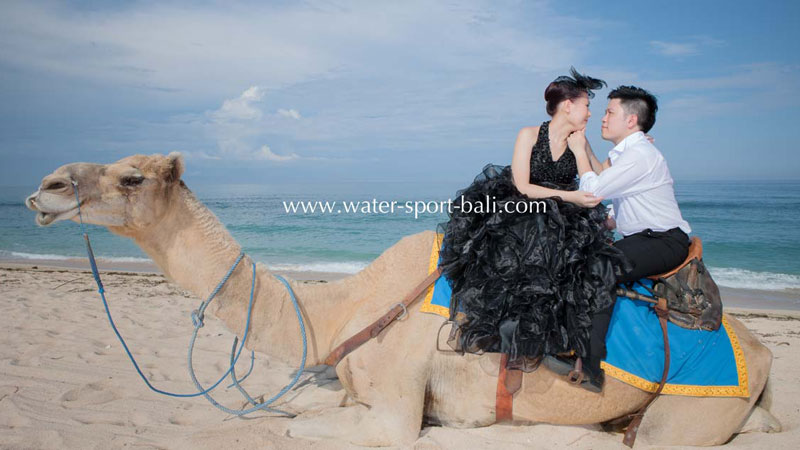 Pasangan calon pengantin berpose naik unta di Pantai Sawangan Nusa Dua, Bali, dengan latar belakang laut yang menawan