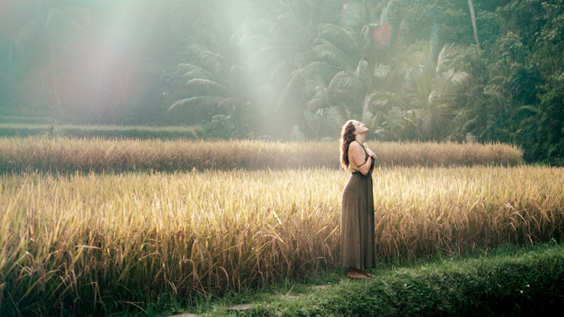 Panorama Tegallalang Rice Terrace di Ubud saat matahari terbit