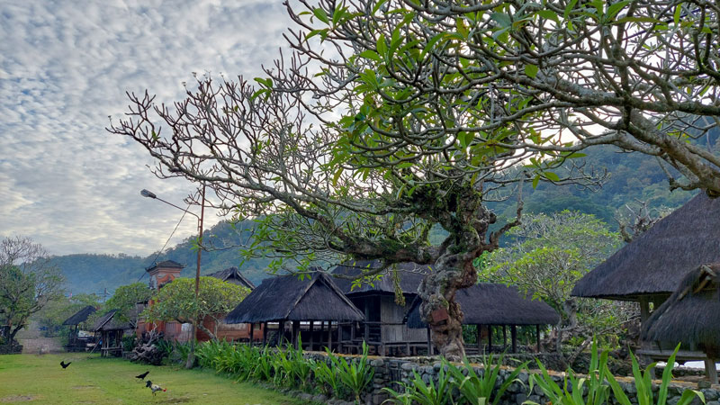 Pemandangan Desa Tenganan Pegringsingan dengan rumah adat Bali Aga.