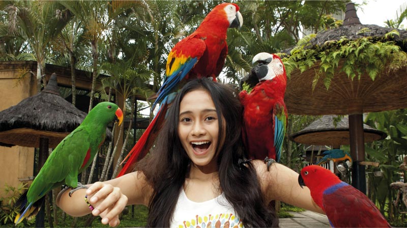 Koleksi Jenis Burung Bird Park Bali