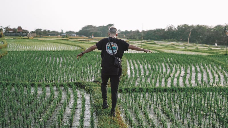 Jalan-Jalan Di Area Persawahan Canggu