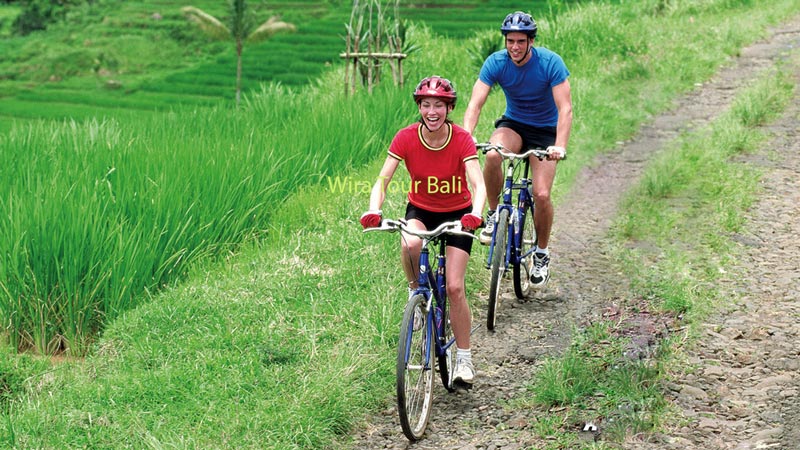 Bersepeda Keliling Ubud