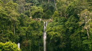 Air Terjun di Bali