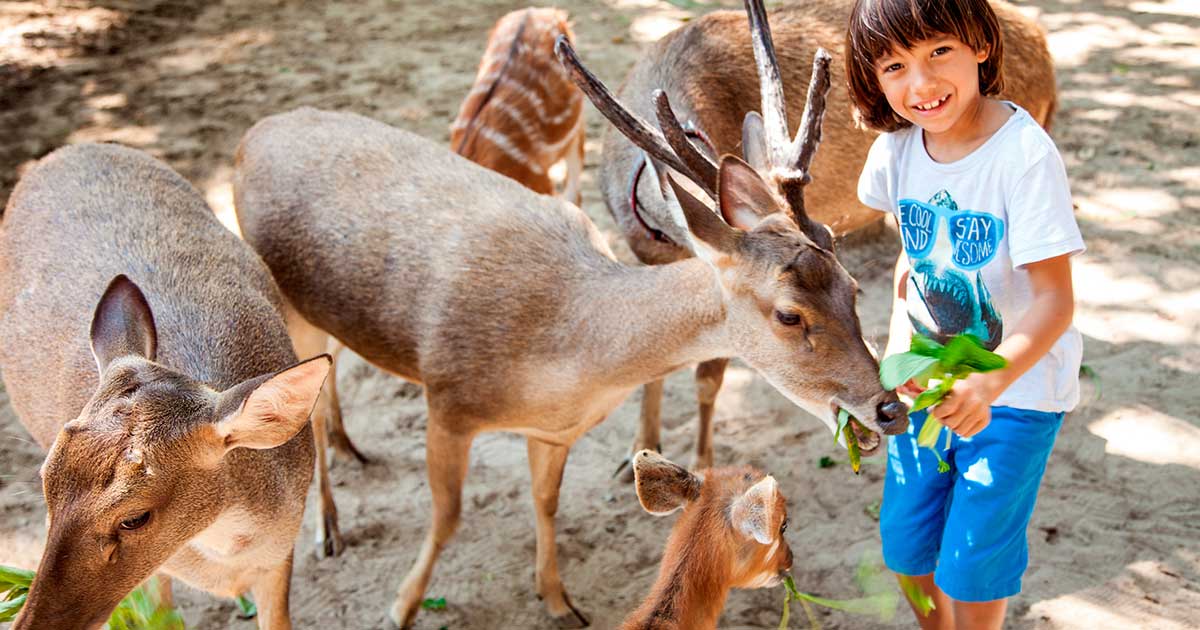 Tempat Wisata Untuk Liburan Anak