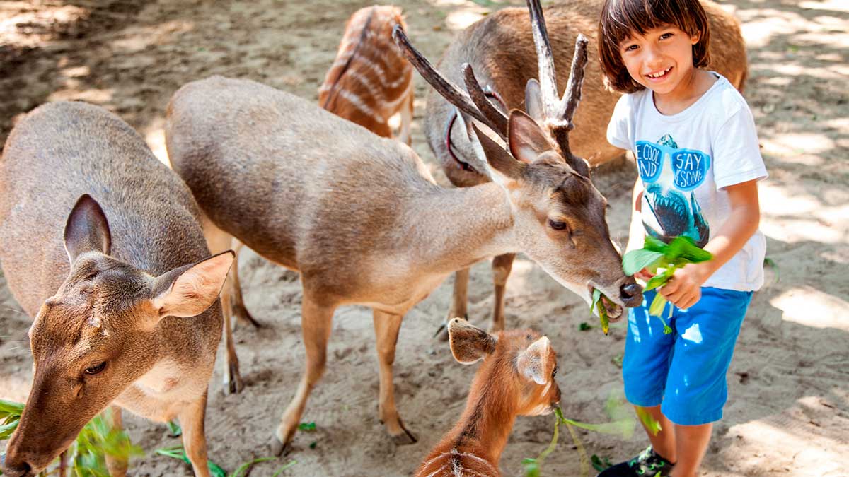 16 Tempat Wisata Di Bali Untuk Anak Membuat Anak Betah Liburan