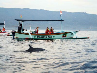 aLumba-Lumba Pantai Lovina Bali