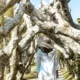 Pengunjung berjalan di bawah lorong pohon unik di Big Garden Corner Sanur