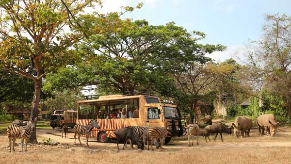 Safari Journey Bali