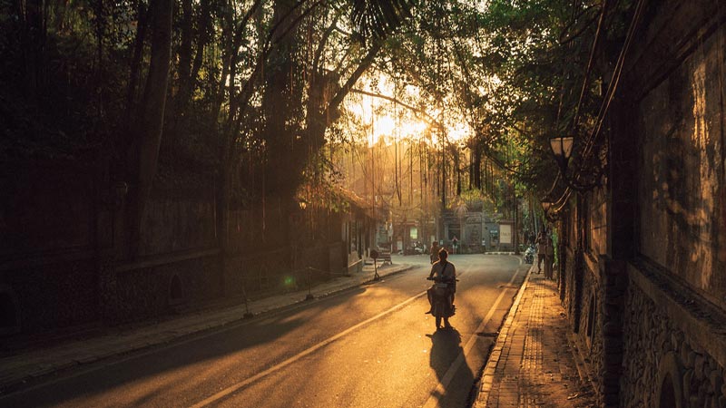 Turis mengendarai sepeda motor melalui jalan raya di Ubud dengan pemandangan pepohonan