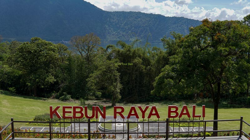 Bali Botanic Garden / Kebun Raya Bedugul