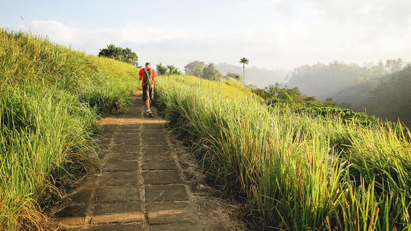 Foto pemandangan alam di Campuhan Ridge Walk