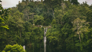 Air Terjun Sekumpul Singaraja