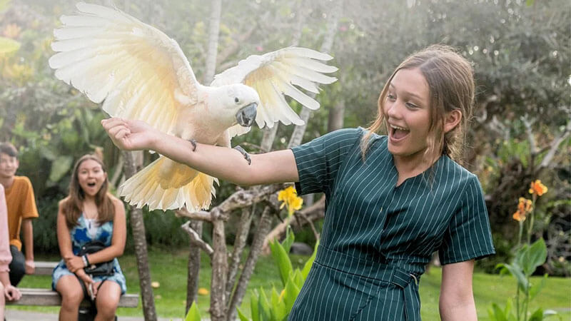 Anak gadis berinteraksi dengan kakak tua di Bali_Bird_Park