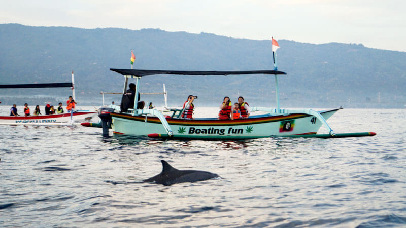 Menonton Lumba-Lumba di Pantai Lovina - Paket Tour Lovina Bali