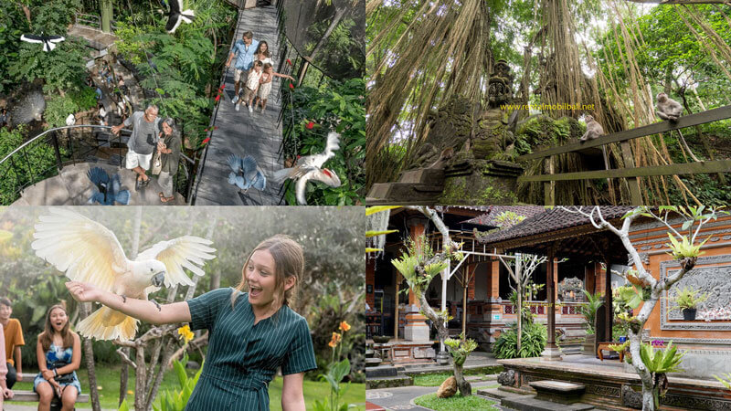 Paket Tour Bali Bird Park Half Day