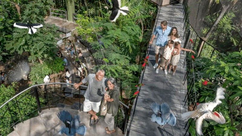 Keluarga berinteraksi dengan burung di Bali Bird Park